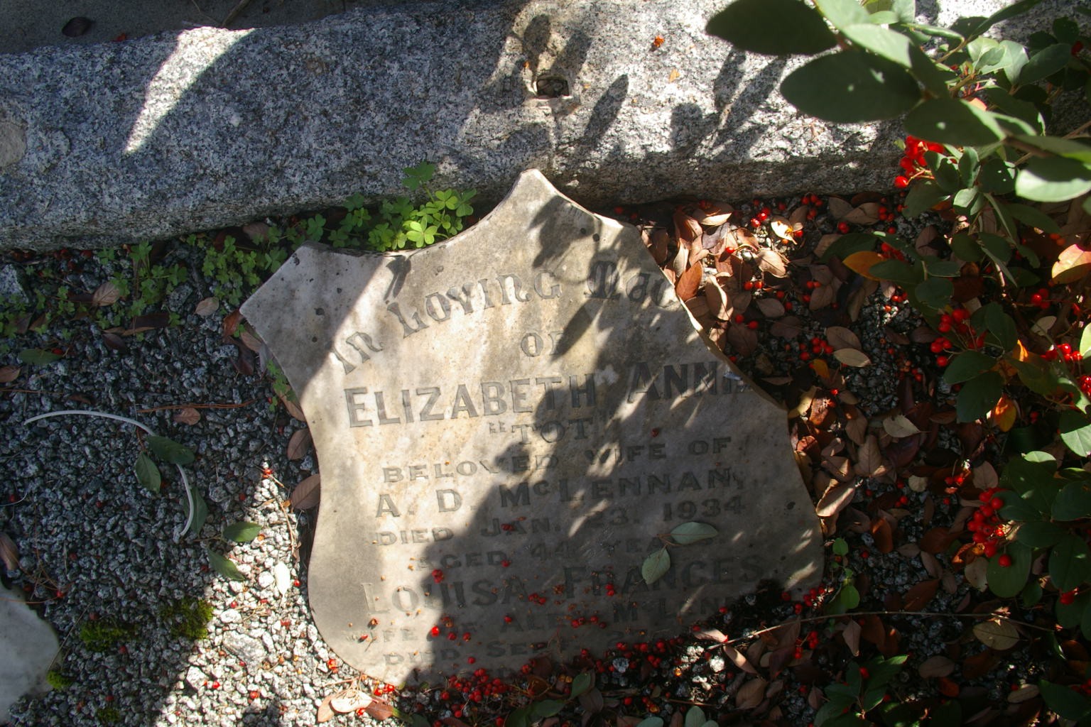 Photo of headstones/Louisa Frances wife of Alexander hdstn Heathcote cem &Elizabeth Annie (McL)
